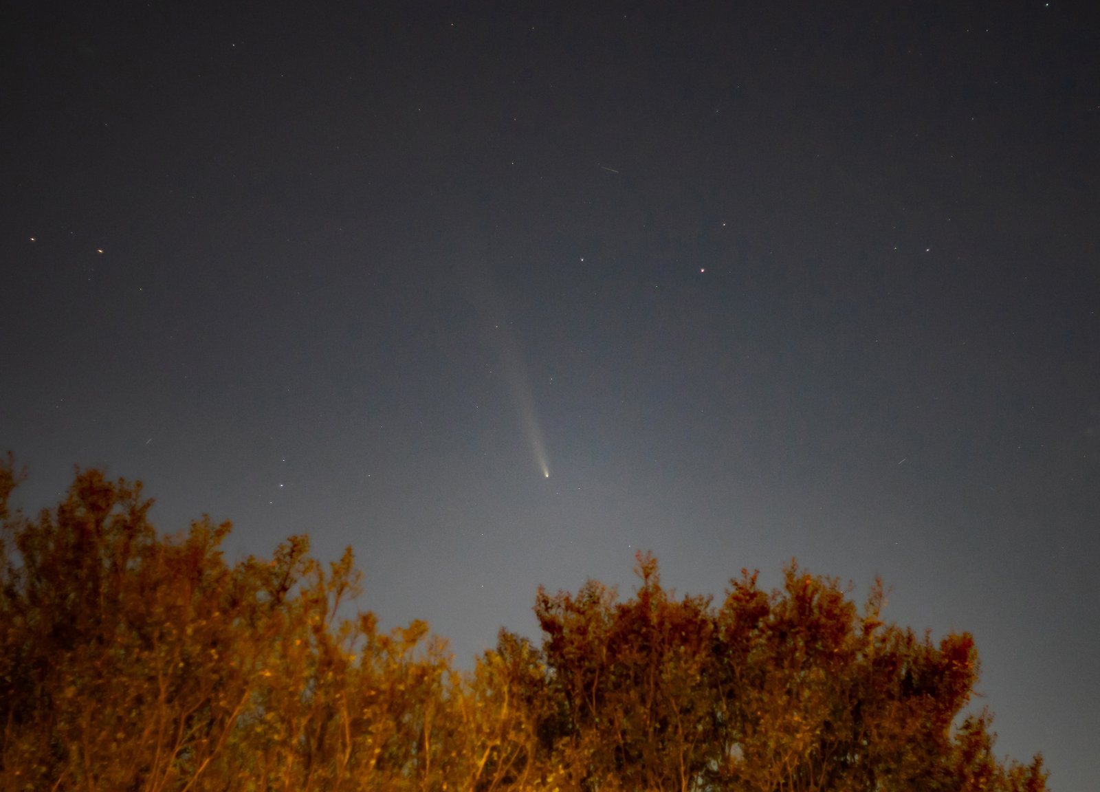 a bright white, blurry streak in the night sky