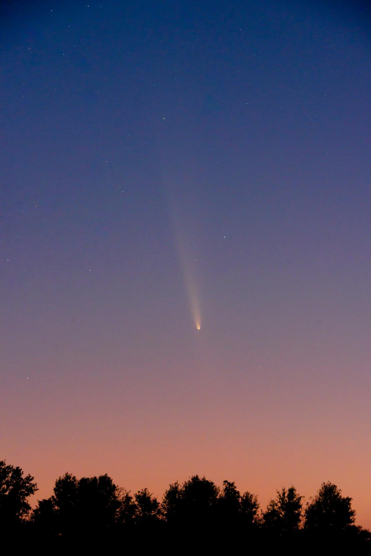 a bright white, blurry streak in the night sky