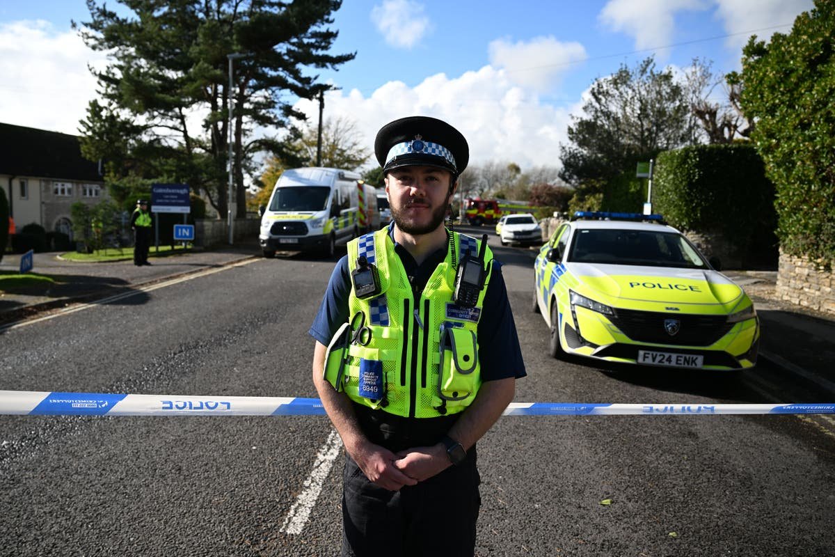 Woman, 60, arrested on suspicion of manslaughter after three deaths at care homes in Dorset