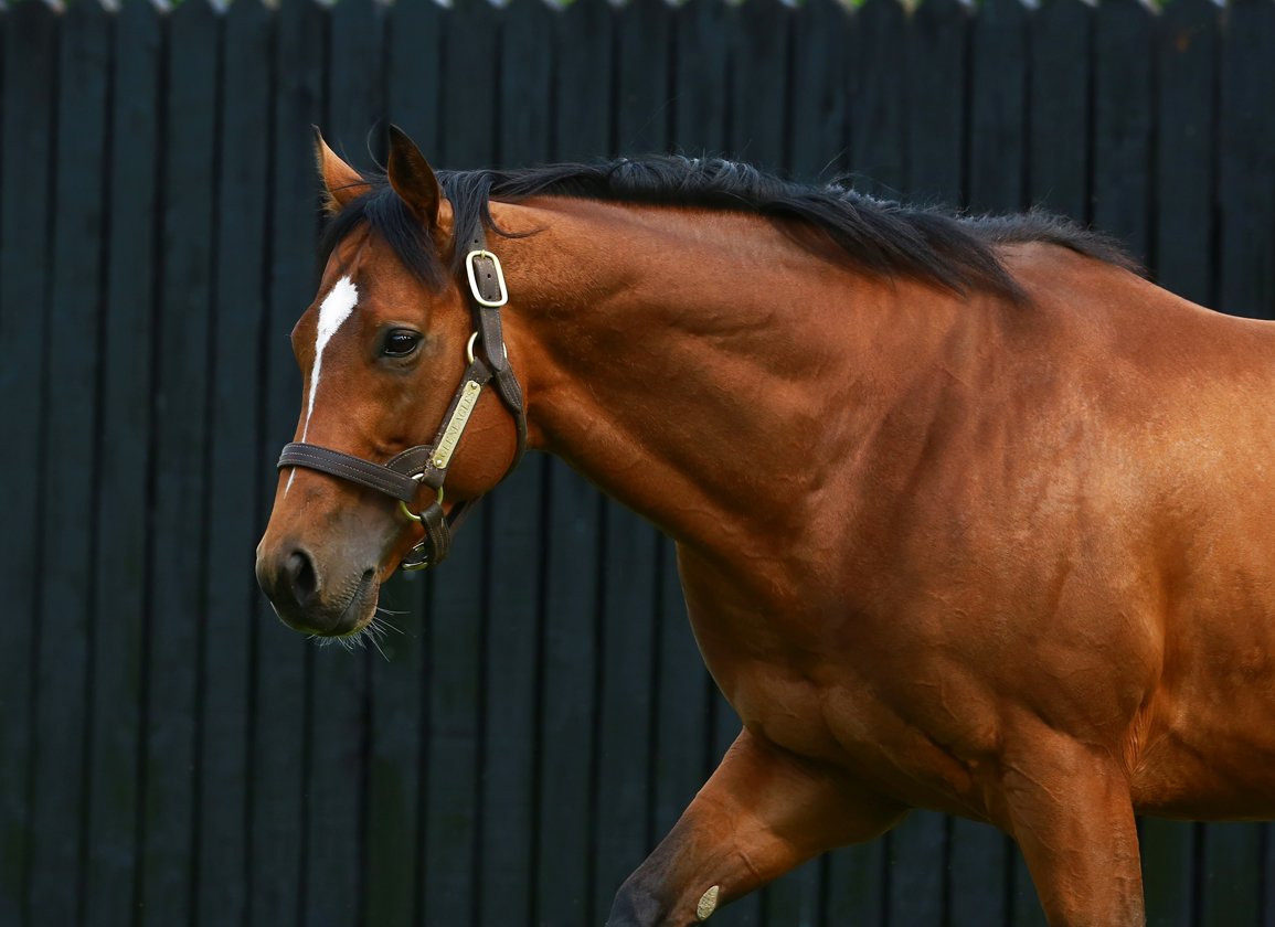 Gleneagles' life triumphs in exciting renewal of Germany's winter favourite