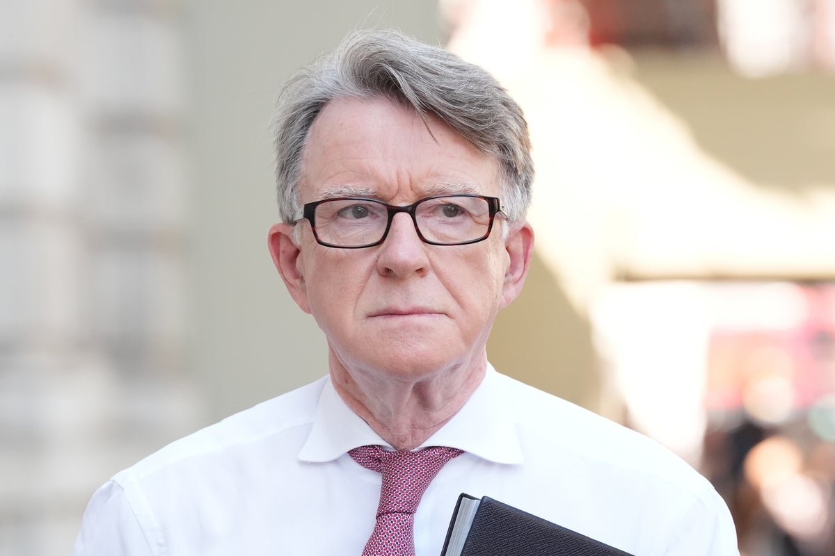 Peter Mandelson says Trump should expect 'hot reception' on full state visit in UK later in the year