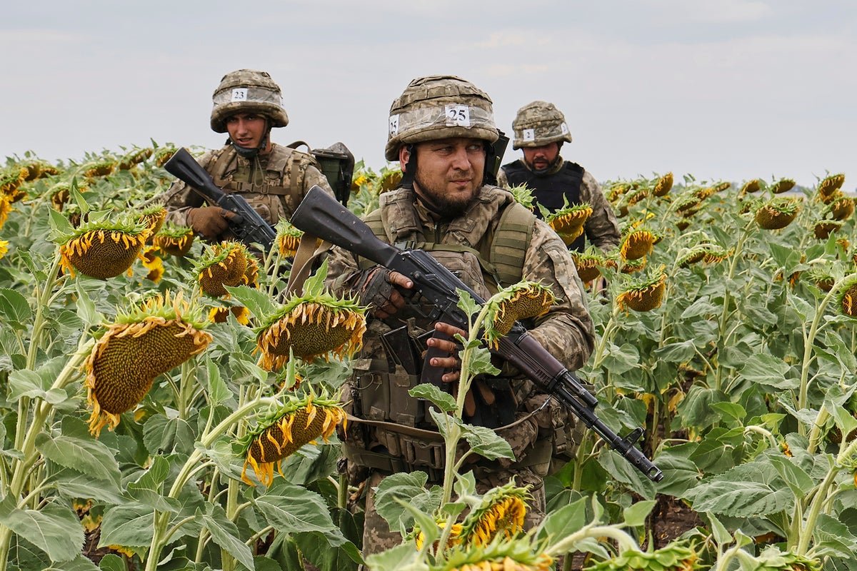 Ukraine Russia War Live: Putin requires Kiev -Backring from the Donetsk -Region for Army -Agreement, Zelensky claims