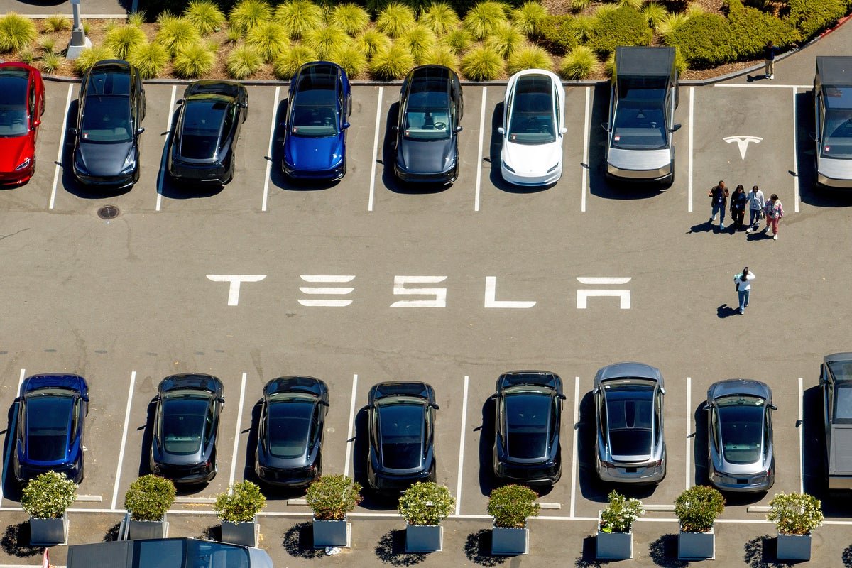 Record Tesla sales fail to help Musk avoid massive profit slump as company pursues bets on robot axis and AI